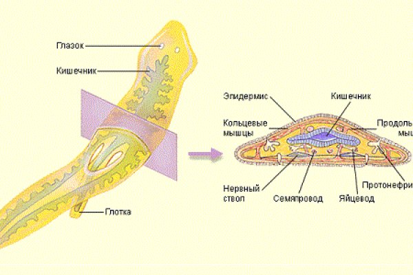 Кракен официальный сайт krakens13 at