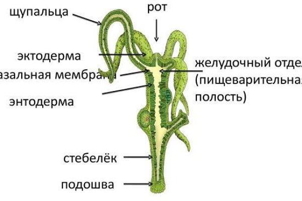 Кракен нарка шоп